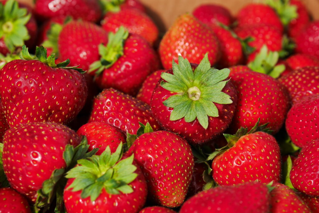 Suvi ja maasikad, maasika müük